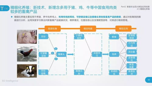 物联网与人工智能技术在农业领域的应用与开发研究